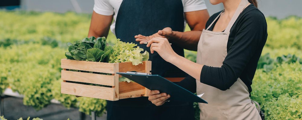 distribuidores horeca